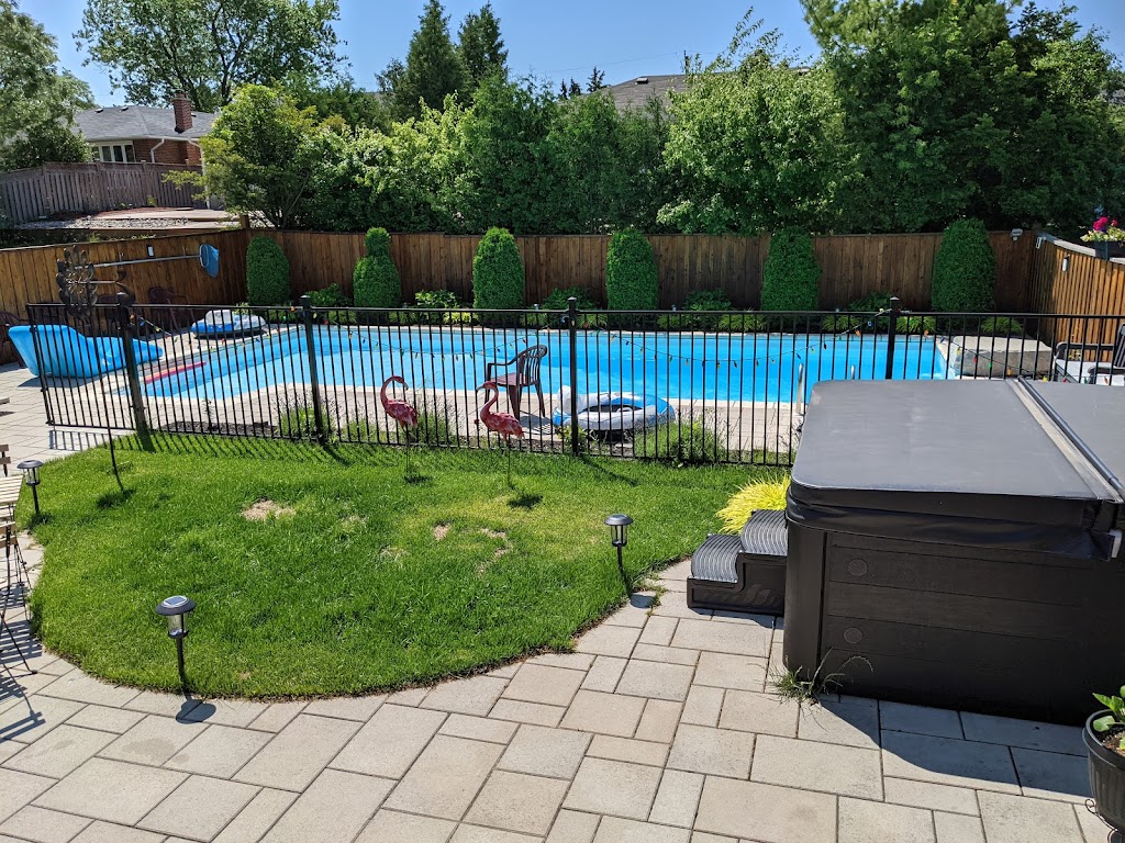 Swimming Pool Rental | 52 Wigmore Dr, North York, ON M4A 2E7, Canada | Phone: (647) 528-0718