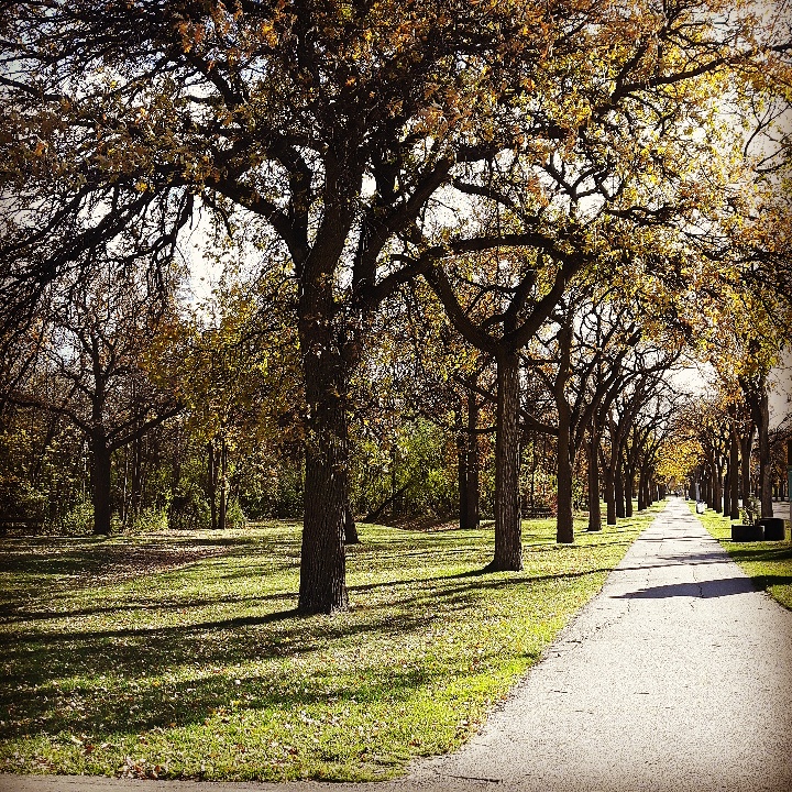 Tuxedo Golf Club | 400 Shaftesbury Blvd, Winnipeg, MB R3P 0M1, Canada | Phone: (204) 888-2867