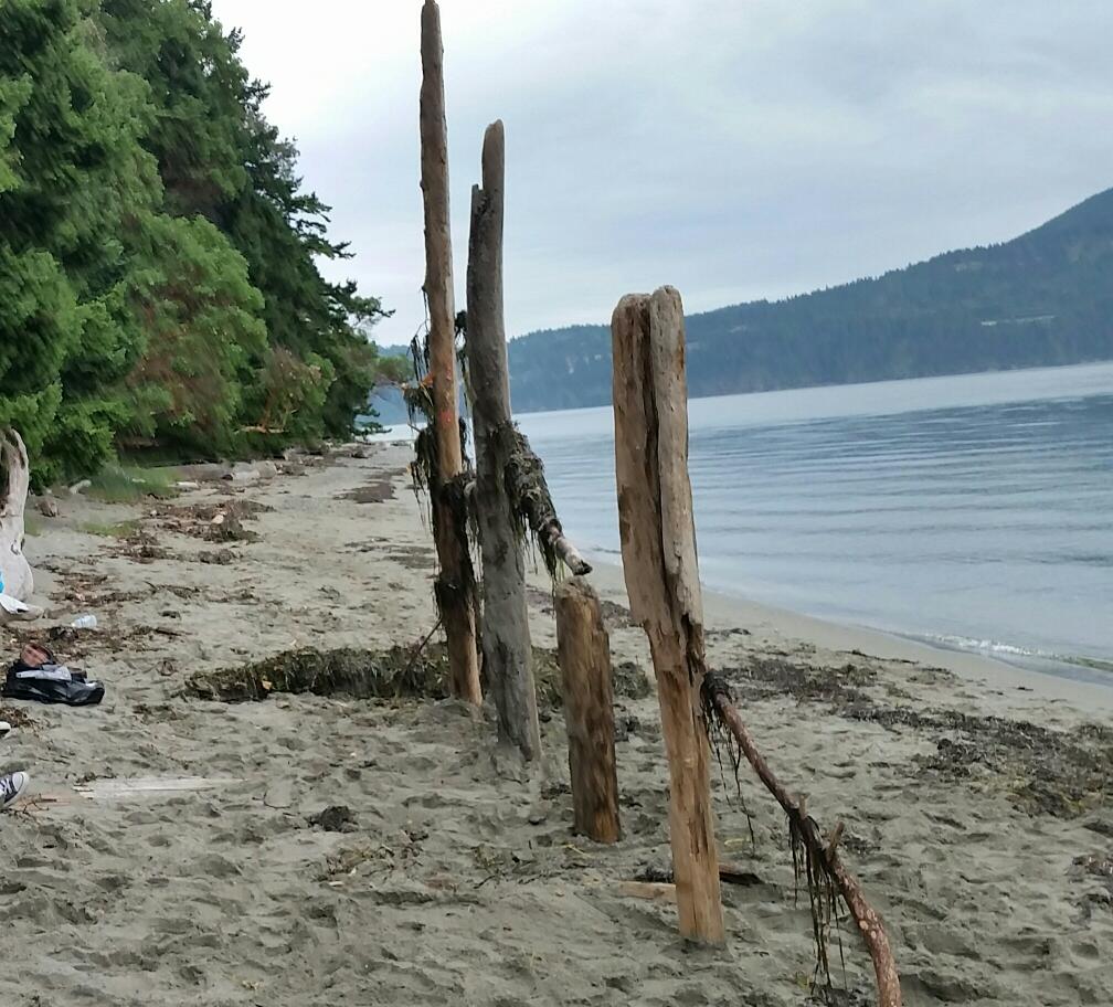 Tree Sculpture | Clark Island, Olga, WA 98279, USA