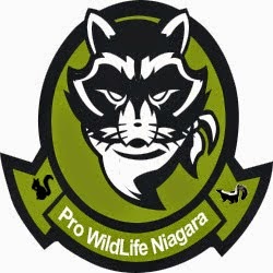 Pro Wildlife Niagara | 2 Orchard Pkwy #301, Grimsby, ON L3M 3A8, Canada | Phone: (289) 273-2251