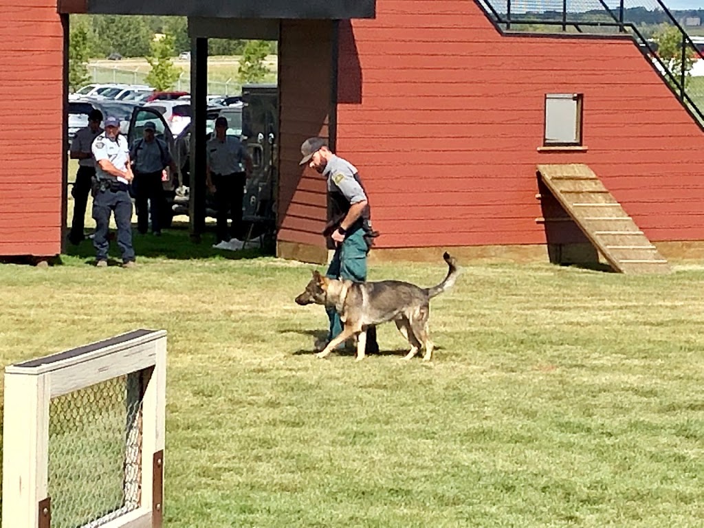 Police Dog Service Training Centre | Queen Elizabeth II Highway, Innisfail, AB T4G 1S8, Canada | Phone: (403) 227-3346