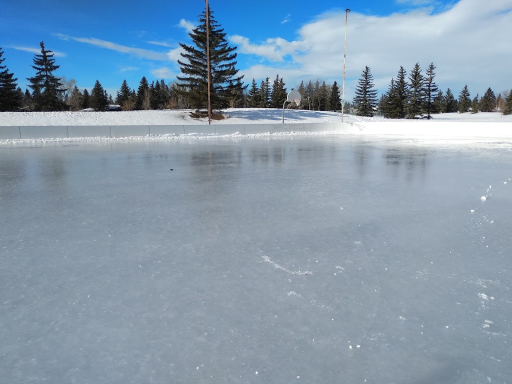 Rundle Community Association Outdoor Rink | Rundle, Calgary, AB T1Y 1Z2, Canada | Phone: (403) 280-4752