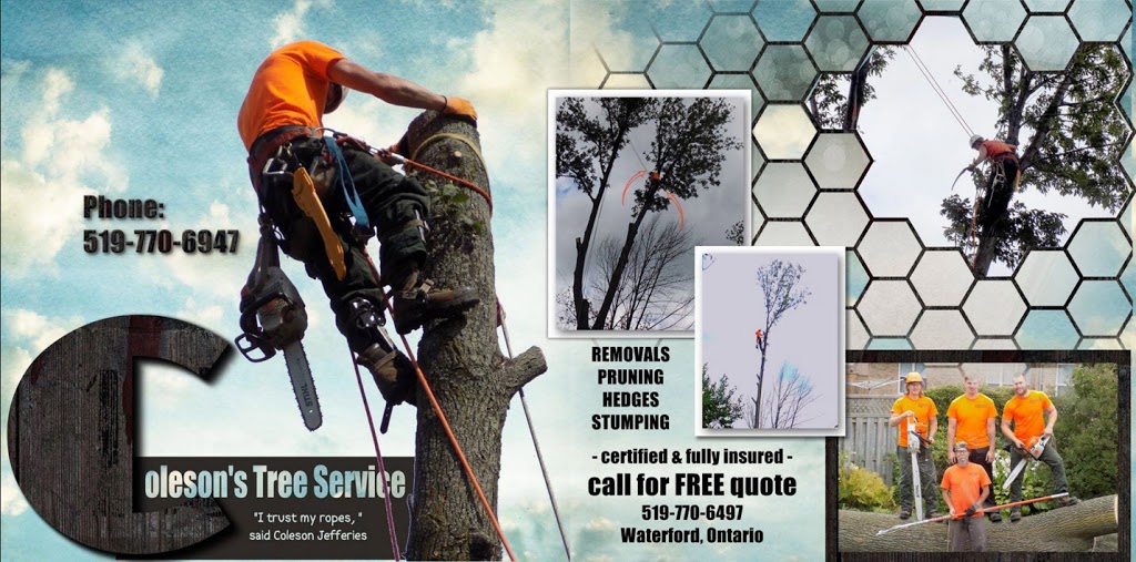 Colesons Tree Service | 423 Woodley Rd, Waterford, ON N0E 1Y0, Canada | Phone: (519) 770-6497