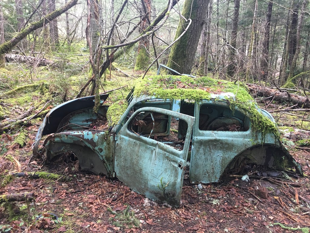 Francis King Regional Park - Main Parking Lot | Munn Rd, Saanich, BC V9E, Canada