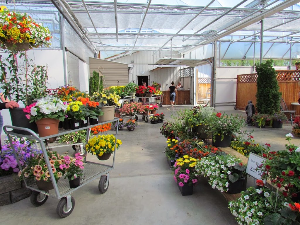 Aspen Greenhouses | 1-40032, Range Rd 283, AB T4M 0X7, Canada | Phone: (403) 885-4516