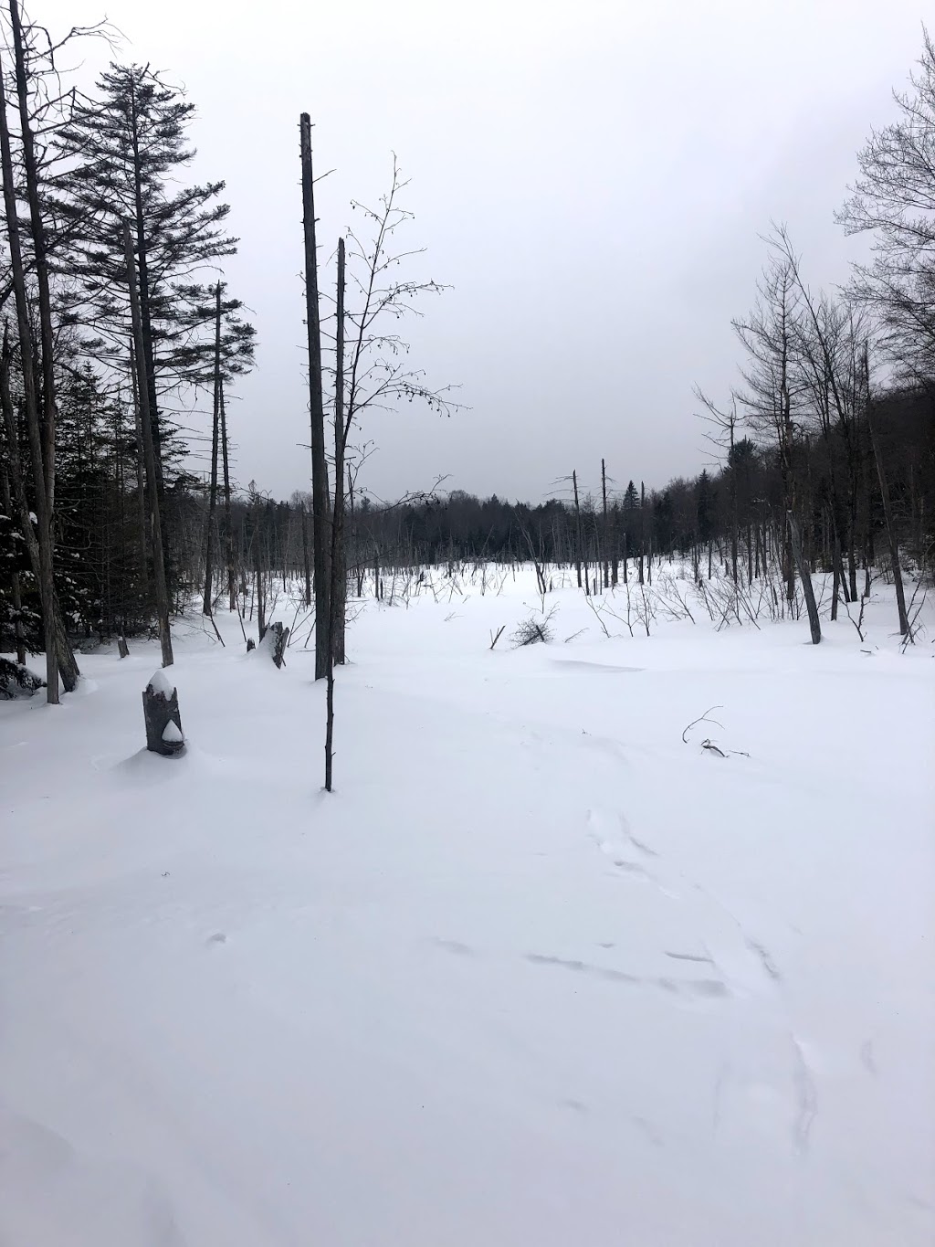 Sentier des Pionniers | 45 Chemin Cambria, Gore, QC J0V 1K0, Canada