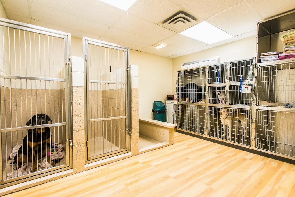 Woodlawn Veterinary Hospital | 485 Silvercreek Pkwy N, Guelph, ON N1H 7K5, Canada | Phone: (519) 821-6565