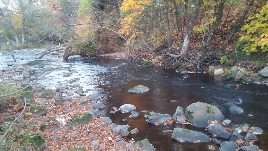 Centre Nature St-Basile de Portneuf | 1 Avenue du Ctre Nature, Saint-Basile, QC G0A 3G0, Canada | Phone: (418) 329-3177