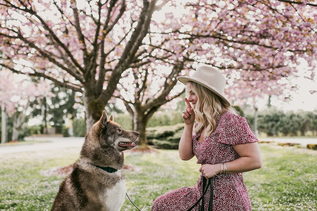 Canine Connection Training - Comox Valley Branch | 2500 Mission Rd, Courtenay, BC V9N 9H1, Canada | Phone: (604) 362-3626