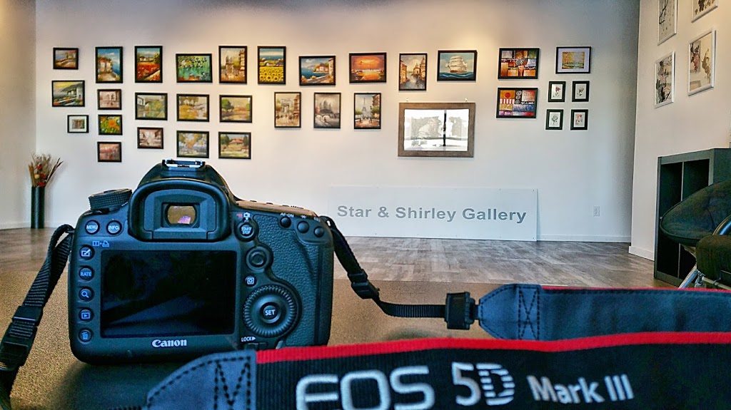 Star & Shirleys Art Gallery | 127-412 Willowgrove Square, Saskatoon, SK S7W 0E5, Canada | Phone: (306) 202-6183