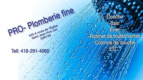 Pro Plomberie Fine | 545 -a Route de lÉglise, Saint-Jean-Port-Joli, QC G0R 3G0, Canada | Phone: (418) 291-4060