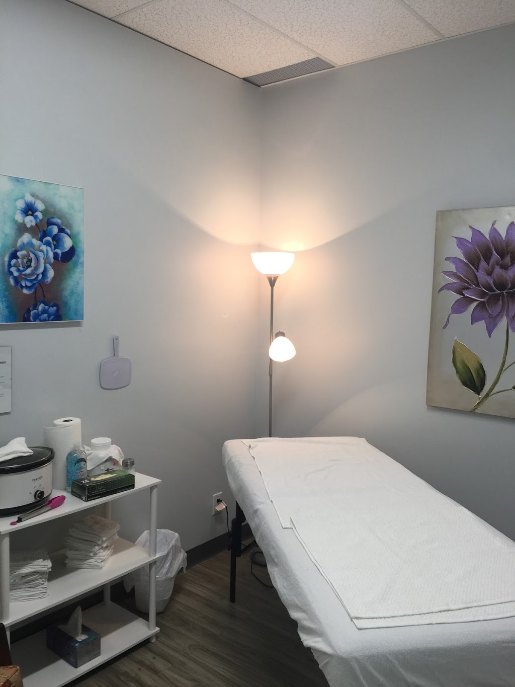 LINDEZA Body Sugaring & More | 877 Waverley St #8, Winnipeg, MB R3T 5P4, Canada | Phone: (204) 504-9044