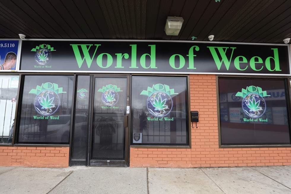 WOW WORLD OF WEED | 3412 Weston Rd, North York, ON M9M 2W2, Canada | Phone: (416) 743-1234