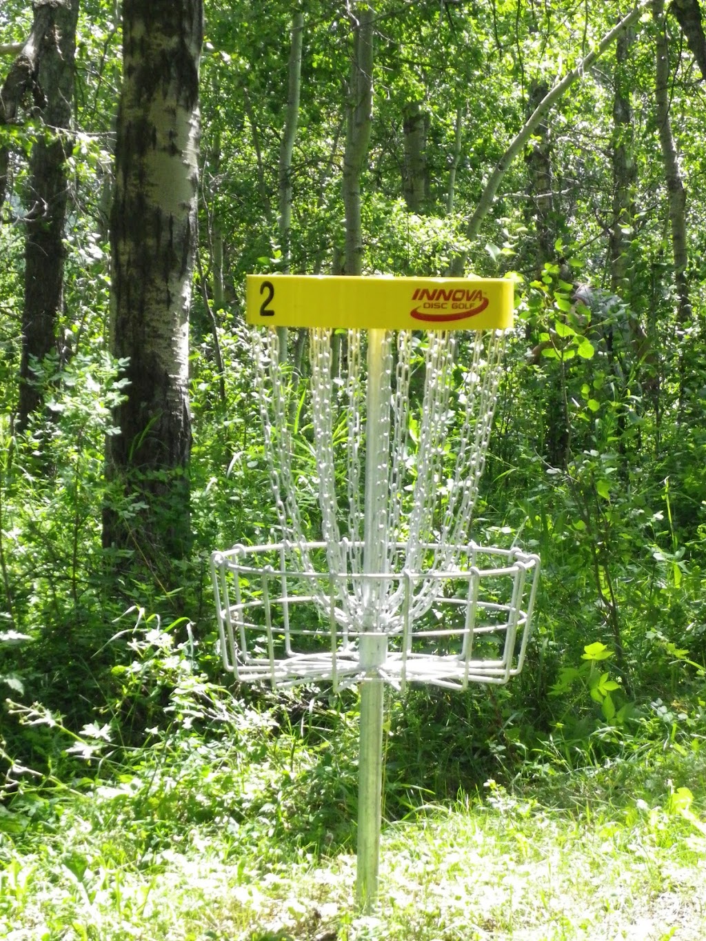 WJ Homestead Disc Golf | 258002 192 St W #10, Alberta T1S 2V3, Canada | Phone: (587) 434-7878