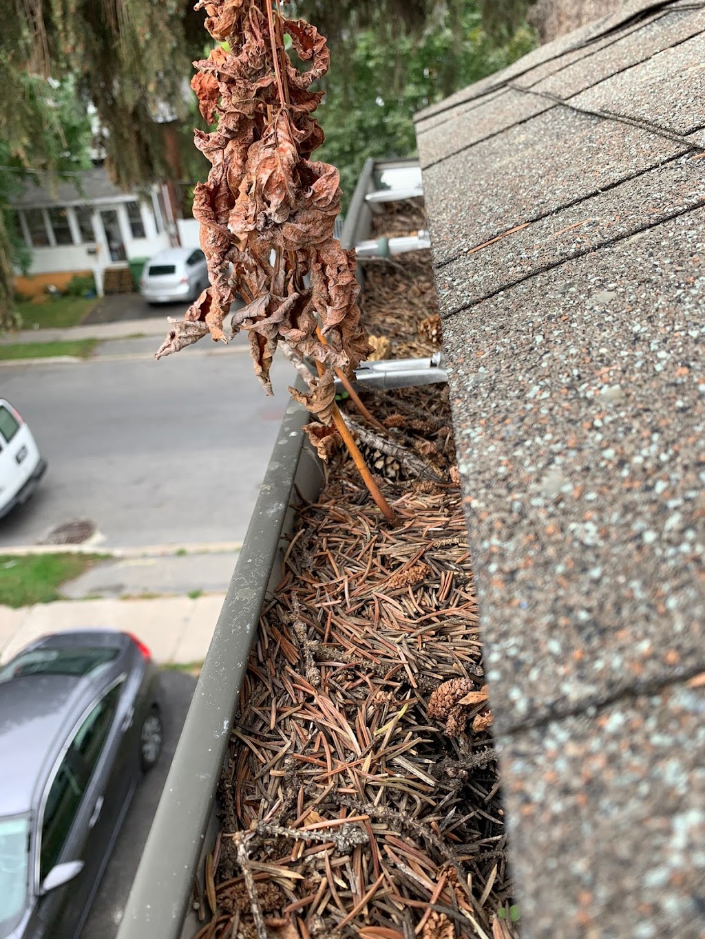 Montreal Gutter Cleaning | 8259 Chem. Mackle, Côte Saint-Luc, QC H4W 3L1, Canada | Phone: (438) 701-1363