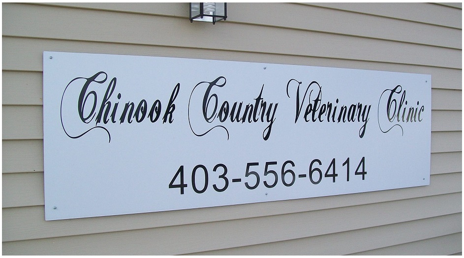 Chinook Country Veterinary Clinic | 4501 46 Ave, Olds, AB T4H 1P4, Canada | Phone: (403) 556-6414