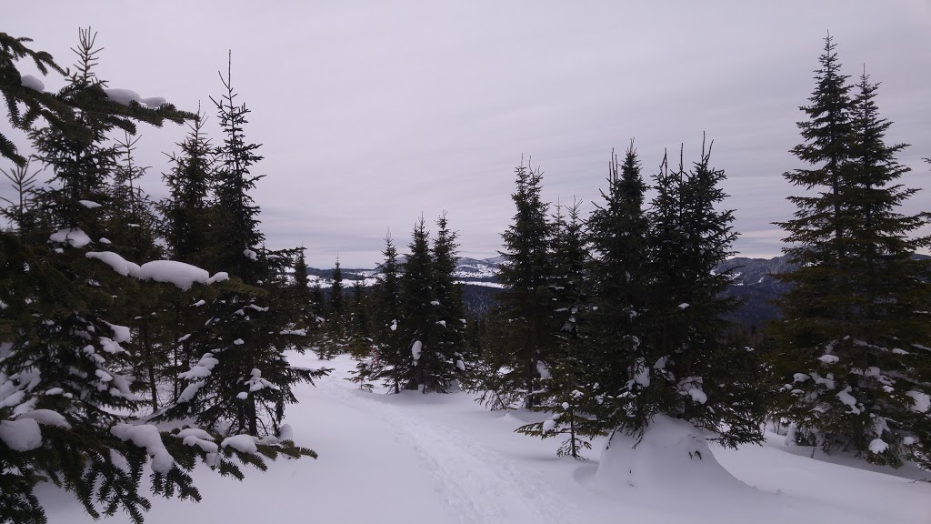 Camp Mercier | Réserve Faunique des Laurentides, Route 175, Lac-Jacques-Cartier, QC G0A 3K0, Canada | Phone: (418) 848-2422