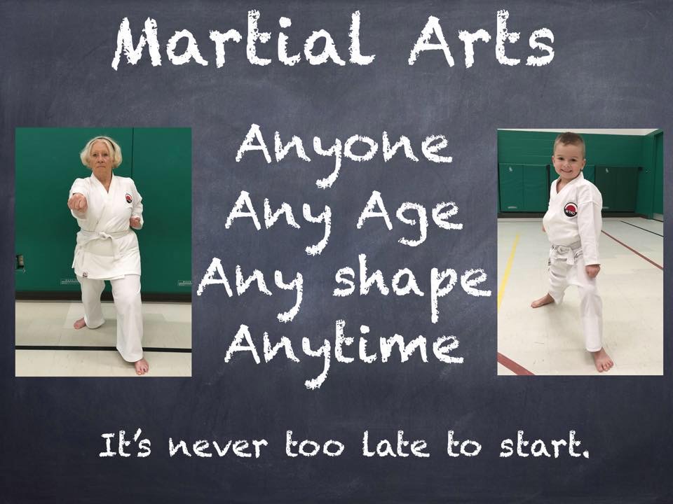 Traditional Karate Ontario | 31 Frances St, Tillsonburg, ON N4G 1E8, Canada | Phone: (519) 688-1330