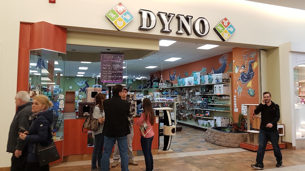 Dyno | 3333 Rue du Carrefour #209, Québec, QC G1C 5R9, Canada | Phone: (418) 666-5550