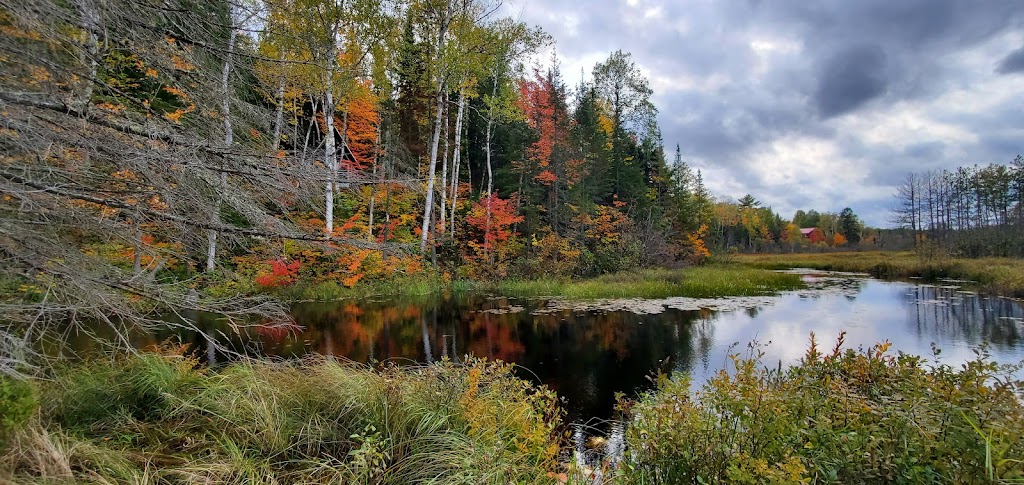 Location des Chalets - Domaine Tavibois | 14 Chem. du Dom. Tavibois, Hérouxville, QC G0X 1J0, Canada | Phone: (418) 365-6913