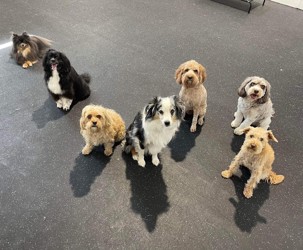 Fetch Canine Daycare, Training and Wellness Centre | 193B Henlow Bay, Winnipeg, MB R3Y 1G4, Canada | Phone: (204) 515-4093