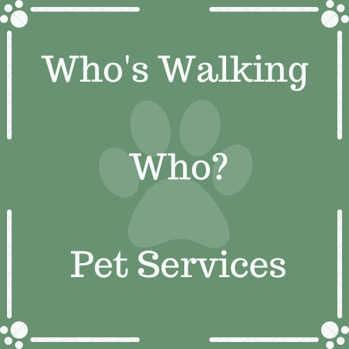 Whos Walking Who? Pet Services | 549 Lakeview Rd, Fort Erie, ON L2A 4W5, Canada | Phone: (905) 536-9367