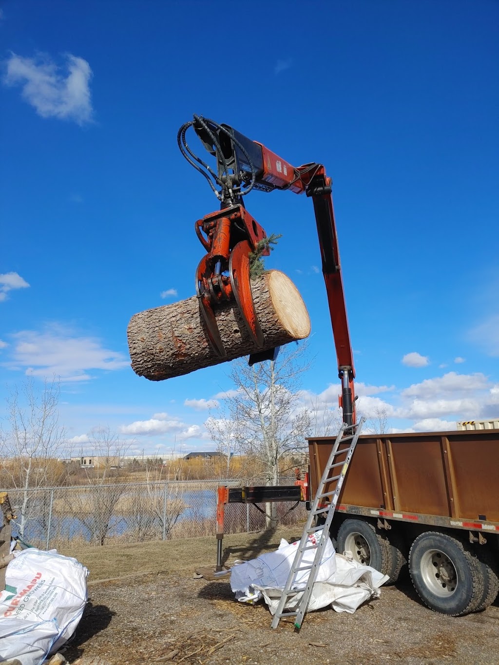 Calgary Tree Cutting | 2212 Palliser Dr SW, Calgary, AB T2V 3S3, Canada | Phone: (403) 601-0376