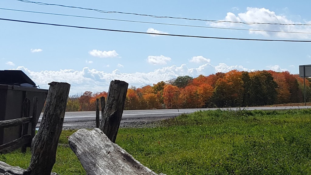 Casse Croûte - Kiosque Pouliot St-Laurent | 7512 Chemin Royal, Saint-Laurent-de-lÎle-dOrléans, QC G0A 3Z0, Canada | Phone: (418) 828-2784