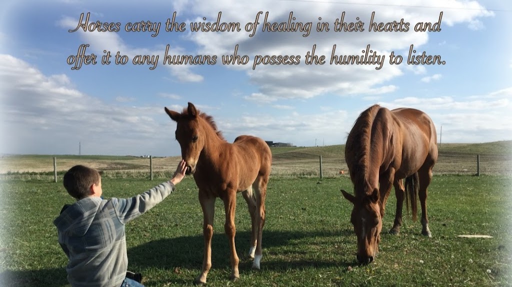 Blue Rein Ranch Counselling & Animal Assisted Therapy | Box 2867, Fort Macleod, AB T0L 0Z0, Canada | Phone: (403) 894-7302