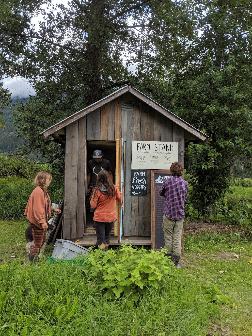 Laughing Crow Organics | 8324 Pemberton Meadows Rd, Pemberton, BC V0N 2L0, Canada | Phone: (604) 906-1305