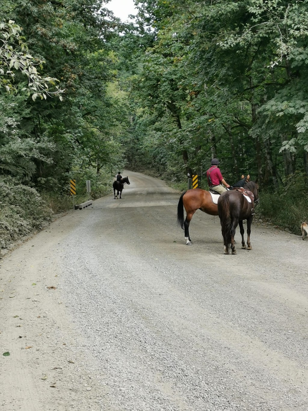 Fraser Valley Hunt | Metro Vancouver Regional District, 1388 272 St, Aldergrove, BC V4W 2P9, Canada | Phone: (604) 835-0845