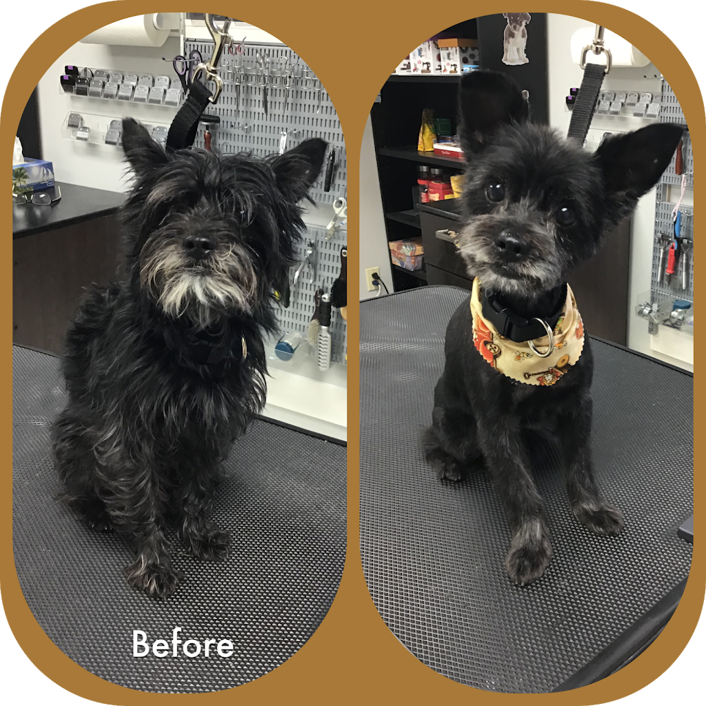 Bark N Beauties Dog Grooming Salon | 35661 Maguire Rd, Ailsa Craig, ON N0M 1A0, Canada | Phone: (519) 228-6861