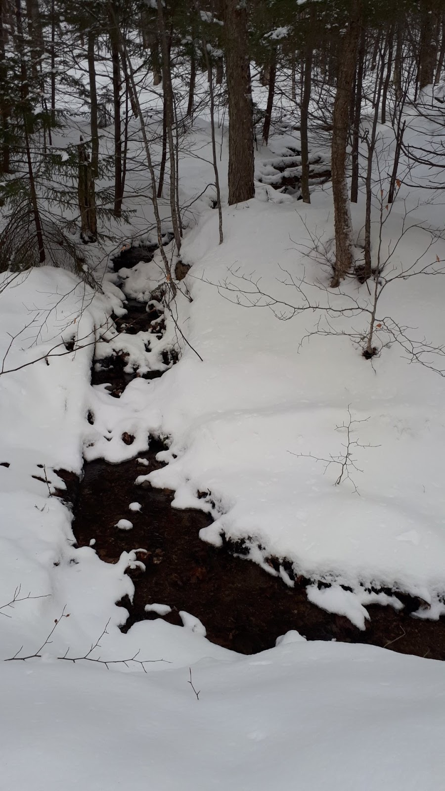 Sentier Massawippi Trail | 85-81 Côte du Piémont, Sainte-Catherine-de-Hatley, QC J0B, Canada