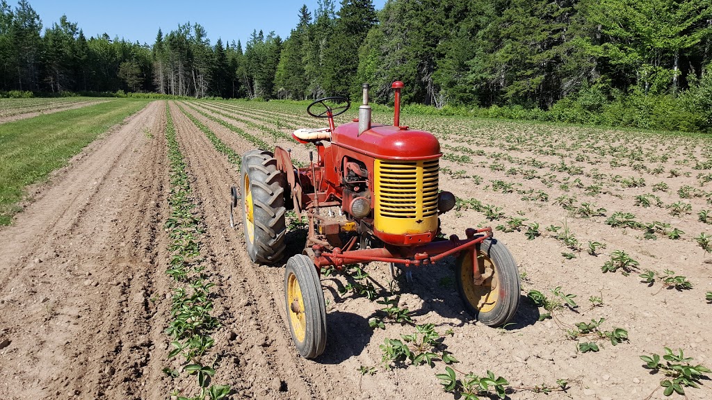 La Fleur Du Pommier Ltee | 79 Chemin Rue Goguen, Cocagne, NB E4R 5Y7, Canada | Phone: (506) 576-7946