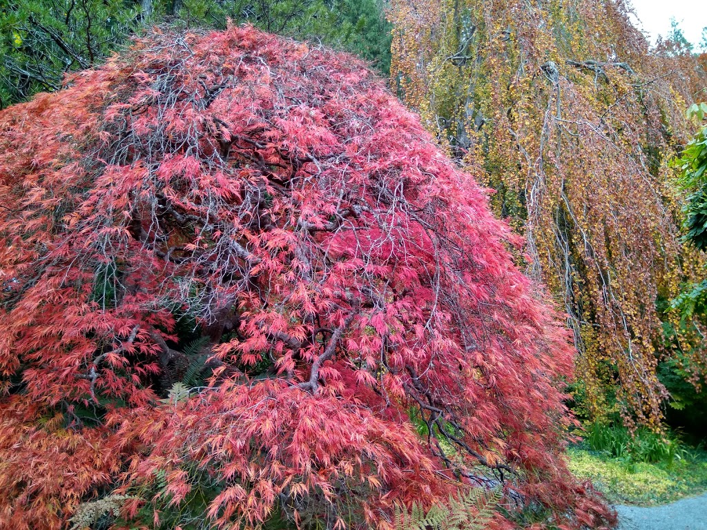 Japanese Garden | Colwood, BC V9C 1H9, Canada | Phone: (250) 391-2666