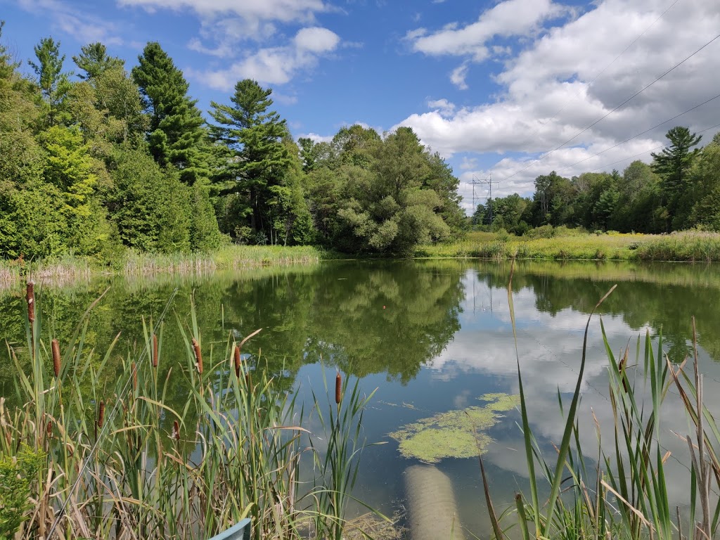 Linwood Acres Trout Farms Ltd | 8382 Gilmour Rd, Campbellcroft, ON L0A 1B0, Canada | Phone: (905) 797-2484