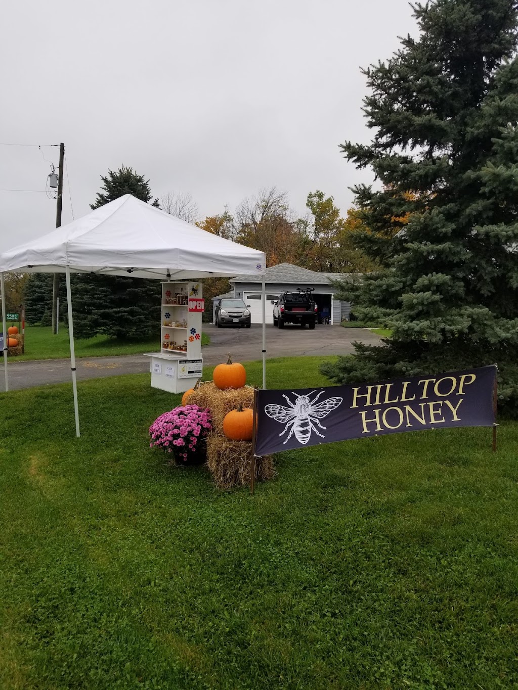 Hilltop Honey | 5503 Trafalgar Rd, Erin, ON N0B 1T0, Canada | Phone: (416) 702-8190