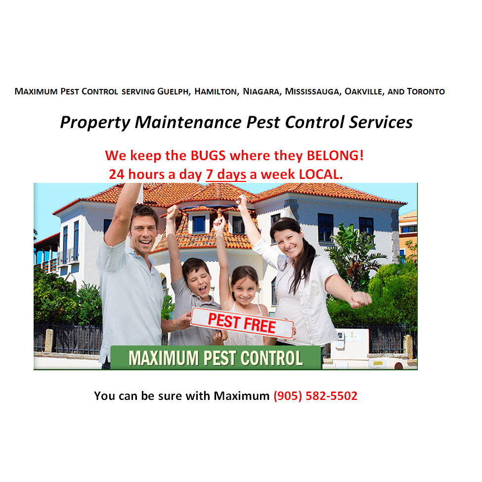 Maximum Pest Control Services. | 96 Kenilworth Ave N, Hamilton, ON L8H 4R5, Canada | Phone: (289) 396-5426