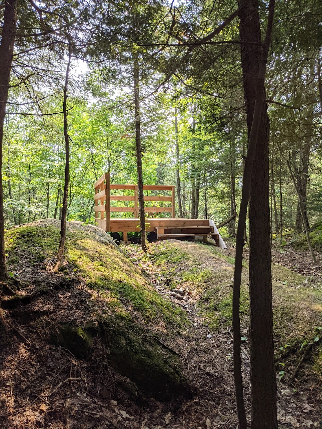 Sentiers de la Montagne Roy : Allons aux bois | 116 Rue Papineau, Chénéville, QC J0V 1E0, Canada | Phone: (819) 428-3583