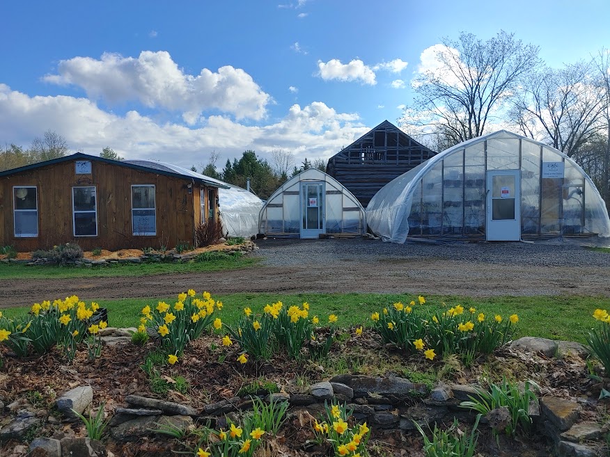 Sheilas Greenhouse | 945 Moscow Rd, Yarker, ON K0K 3N0, Canada | Phone: (613) 217-8067
