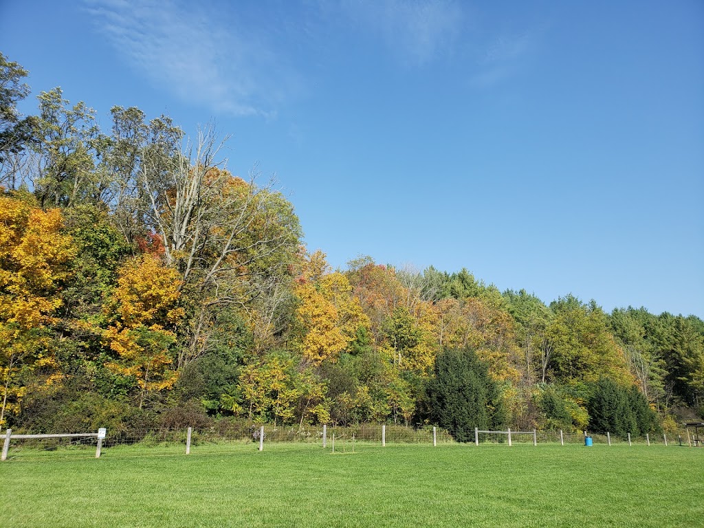 Kettle Creek Dog Park | 44070 Mapleton Line, St. Thomas, ON N5P 3T3, Canada