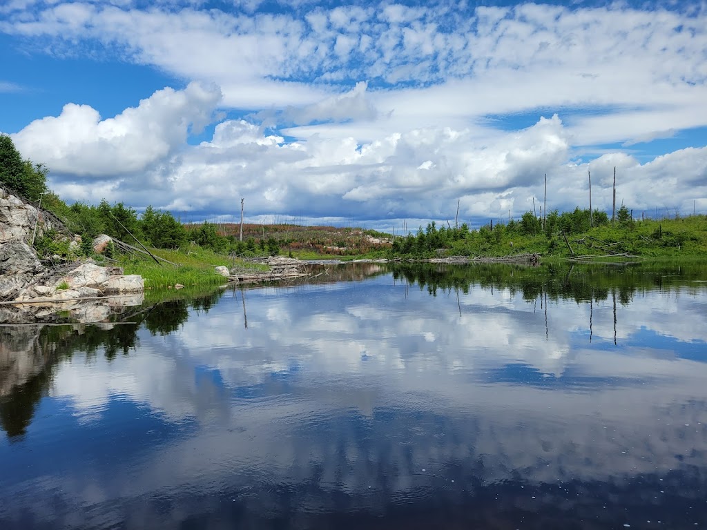 Woodland Caribou Provincial Park | 227 Howey St, Red Lake, ON P0V 2M0, Canada | Phone: (807) 727-1329