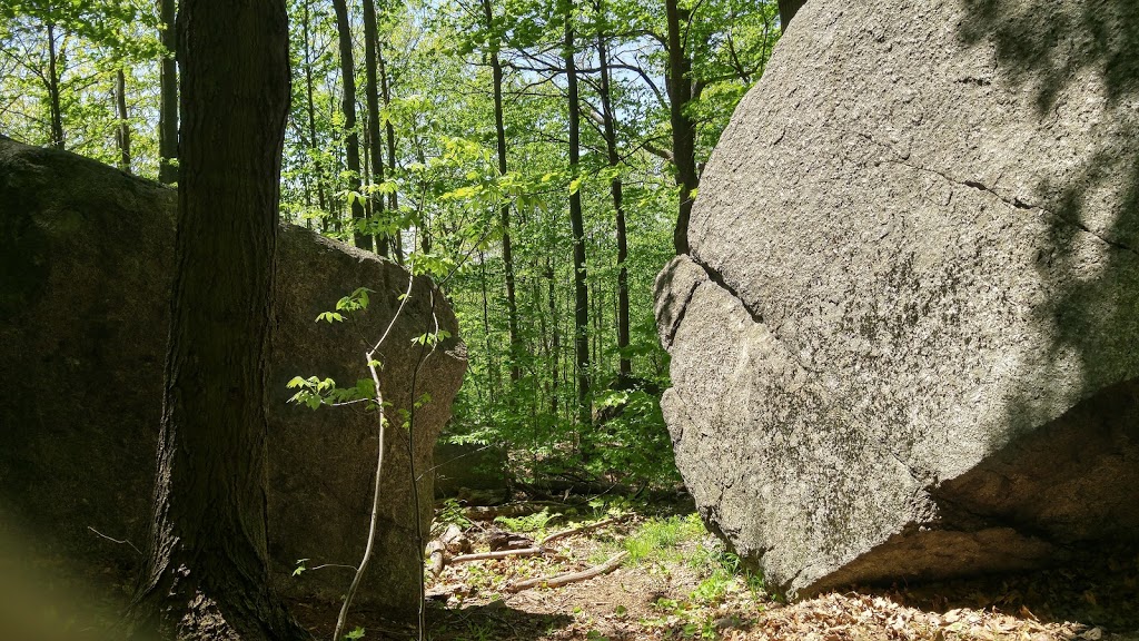 Mont-Saint Gregoire | 36-112 Chemin du Sous-Bois, Mont-Saint-Grégoire, QC J0J, Canada | Phone: (450) 347-5376