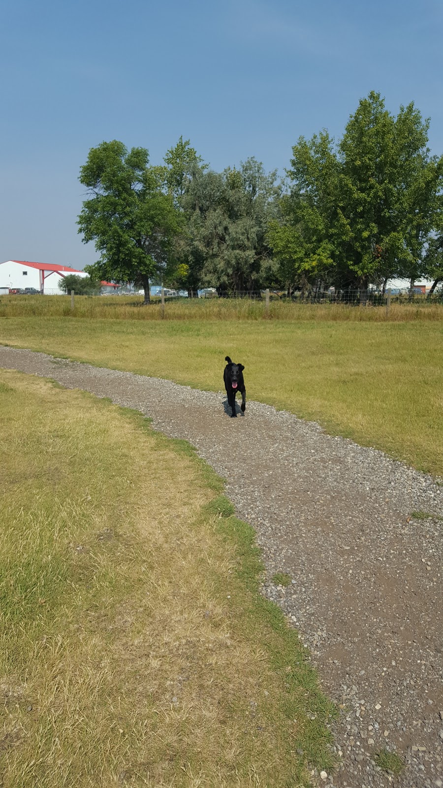 Town of Strathmore Dog Park | F 1V1, 99 Slater Rd, Strathmore, AB T1P 1R8, Canada