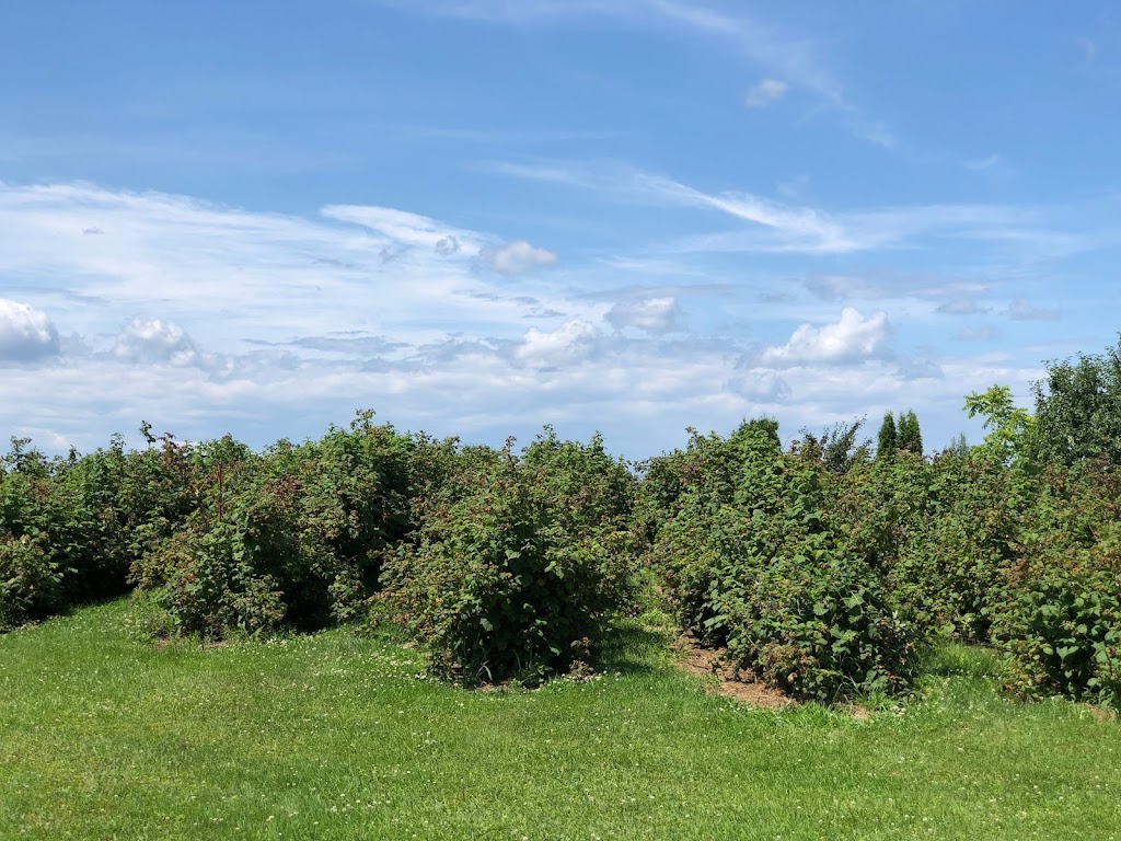 Ferme ruisseau des chasseurs | 2560 Rue Saint-Jean-Baptiste, Jonquière, QC G7X 7V5, Canada | Phone: (418) 591-3711