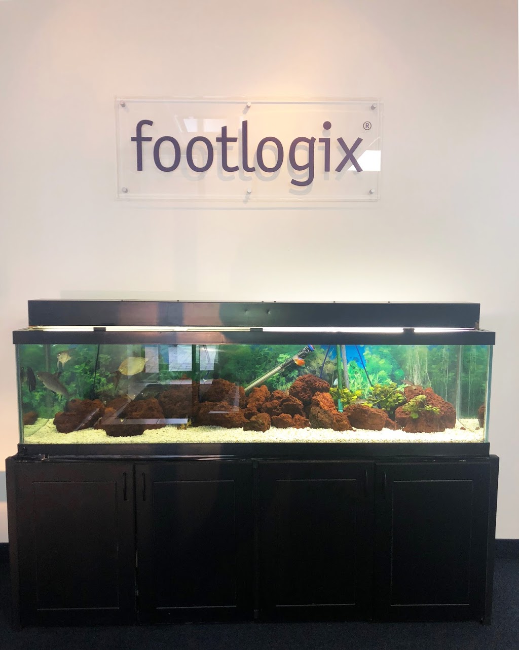 Footlogix Pediceuticals® | 1 Westside Dr Unit #12, Etobicoke, ON M9C 1B2, Canada | Phone: (416) 742-1313