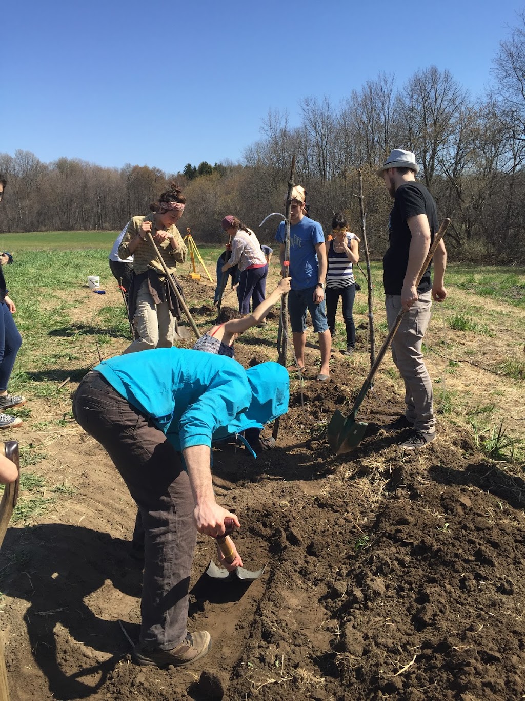 P3 Permaculture | 40 Chem. Mill, Chelsea, QC J9B 1K8, Canada | Phone: (438) 228-5883