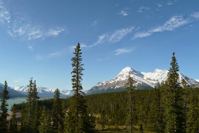 Aurum Lodge | 374021, AB-11, Cline River, Nordegg, AB T0M 2H0, Canada | Phone: (403) 721-2117