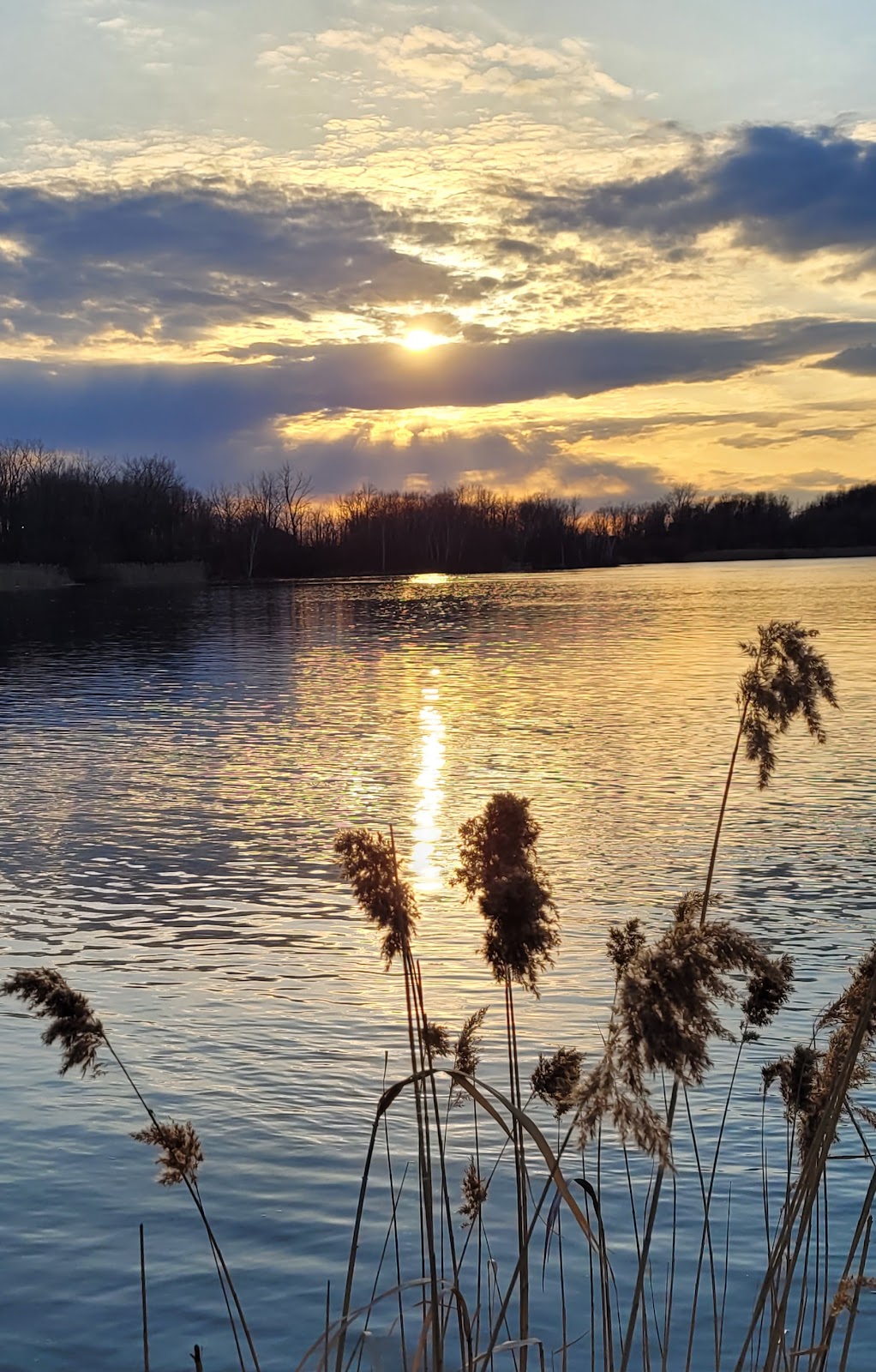 Parc Des Iles de St-Timothé | Parc Des Iles de, Saint-Timothée, QC J6S, Canada | Phone: (450) 377-1117