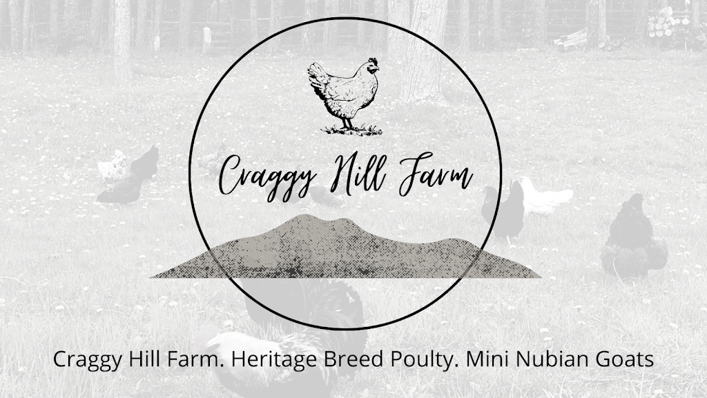 Craggy Hill Farm | 4970 Jones Baseline, Puslinch, ON N0B 2J0, Canada | Phone: (519) 820-9780